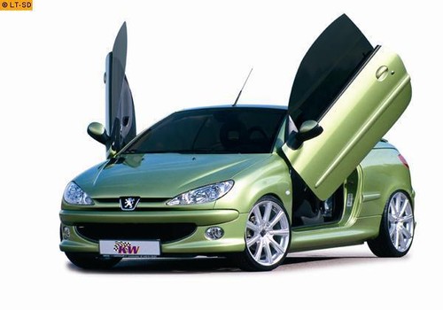 Lsd lambo doors - lsd,
