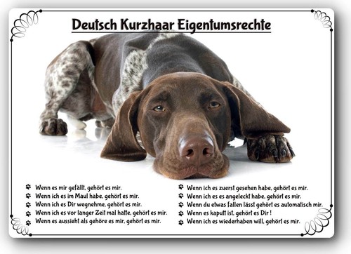 Warnschild 20x30cm - warnschild,