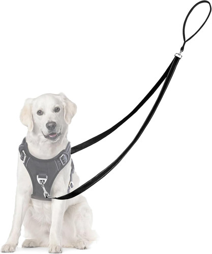 Anti zug hundegeschirr schwarz - zug,