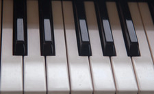 Roland E14 15 16 28 35 36 38 40 48 50 66 68 330 keyboard replacement key