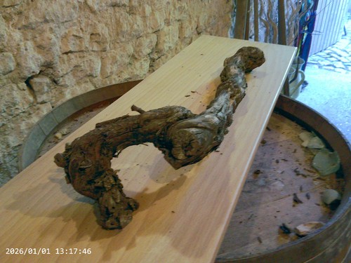 Weinstock herbstdeko holz - herbstdeko,