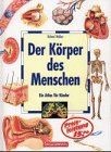 Der körper des - körper,
