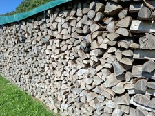 Brennholz Buche, Trocken