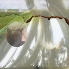 Credit Electric Six CD DE045CD