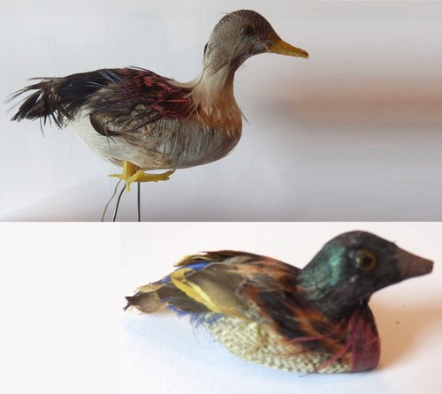 Wildgans wildente - (l=6cm), &