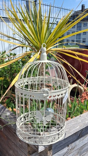 Vogelkäfig mit