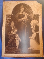 Madonna altes Foto Schutzmantelmadonna von Hans Holbein