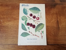 Nach der arbeit zeitung garten - nach,