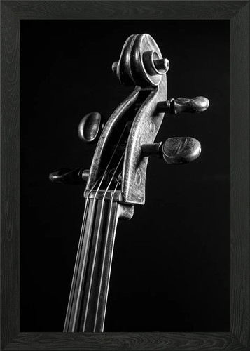 Antike cellorolle gerahmtes - cellorolle,