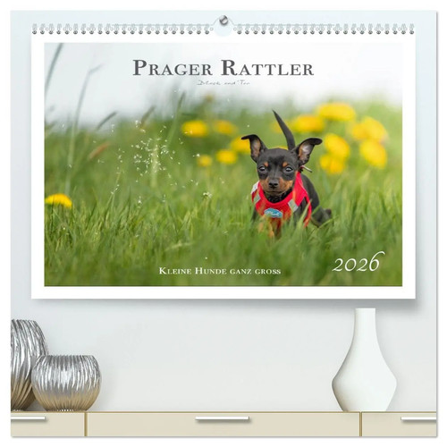 Prager rattler black - -,