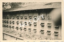 Foto WK II Brieftauben