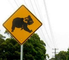 60cm Koala METALL Strassen