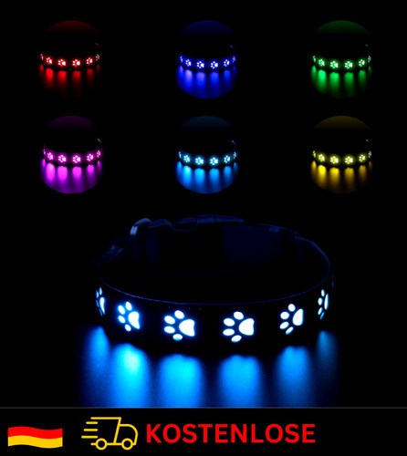 Led hundehalsband - led,