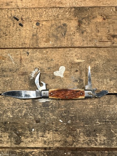 Deer antler hunter - antler,