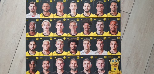 Bvb borussia dortmund - borussia,