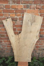 Baumscheibe Holzscheibe