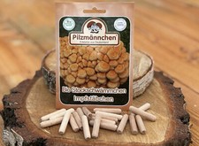 Stockschwämmchen Impfstäbchen (20 Stück) , Pilze auf Holz züchten, Impfdübel