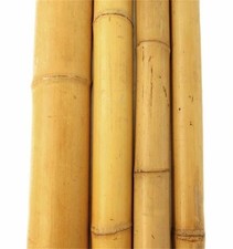 Bambusrohr 180 cm Ø 10/12 cm