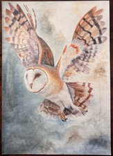 Aquarell-Original: Flug der Schleiereule