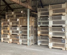 Gitterbox Gitterboxen Gebraucht DB Gitterbox Industrieboxen