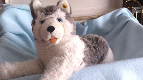 Steiff huskin 40 - steiff,