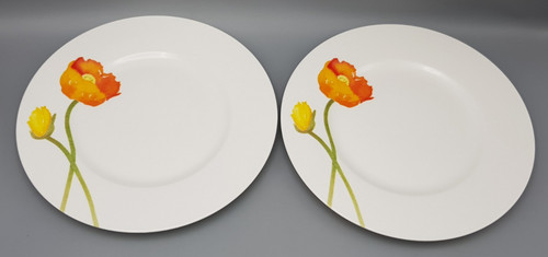 Villeroy boch iceland - &,