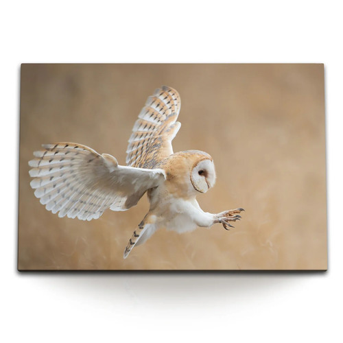 120x80cm wandbild auf leinwand - 120x80cm,