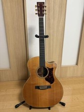 Electric Acoustic Guitar