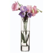 Blumenvase Glas Vase Klarglas