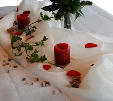 Organza Tischdecke 1,50 x 3,00