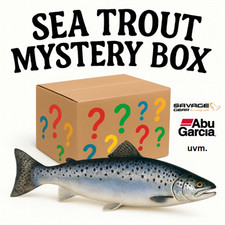 Ü-Box Meerforelle Sea Trout