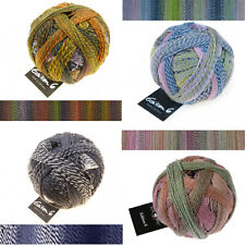 Schoppel EDITION 6 - 100%