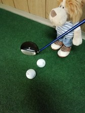 Golfschläger King Cobra