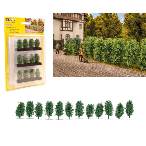 Modellhecke thuja hecke - modellhecke, thuja-hecke