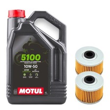 2x Ölfilter für Dinli 450