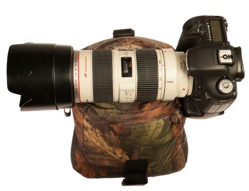 Buteo photo gear foto - gear,