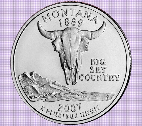 Quarter dollar montana 2007 - dollar, p