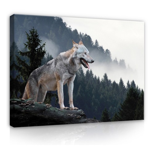 Wolf tiere wald leinwandbild - wolf,