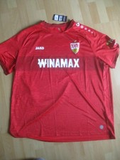 VFB Stuttgart 1893 Fussball