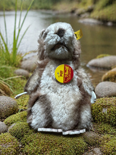 Steiff murmeltier piff 19 - murmeltier,