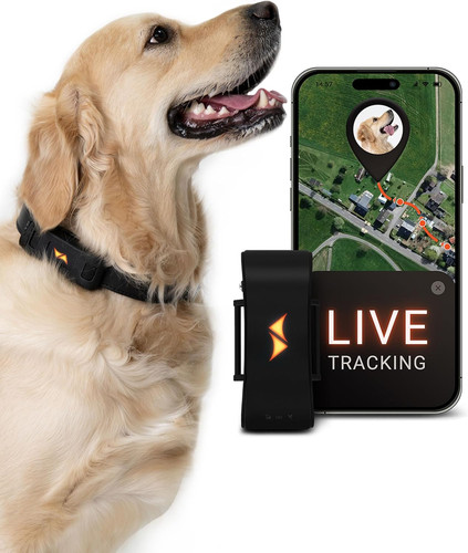 Paj gps tracker für hunde - gps,