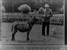 30039582 - 2243 Riesewohld