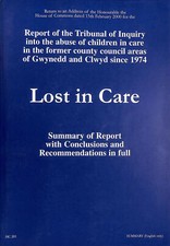 Lost in Care, Summary of