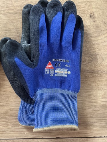 Hase padua blue - hase,