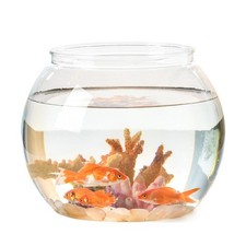 Fish Bowl Wasseraquarium Desktop   Ornament Fischtopf Dekoratives Aquarium für