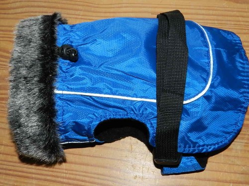 Hundejacke gefüttert xxs 25cm - gefüttert,