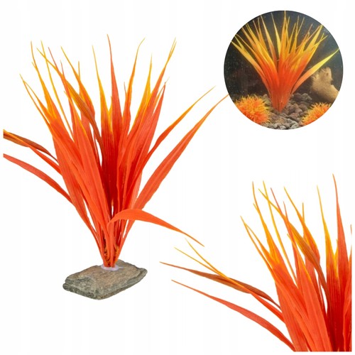 Pflanze für aquarium - pflanze,