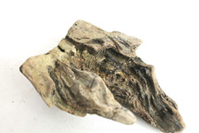 Schwemmholz Treibholz