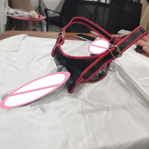 Strap dildo plug - on,