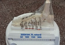 anatomisches Modell des